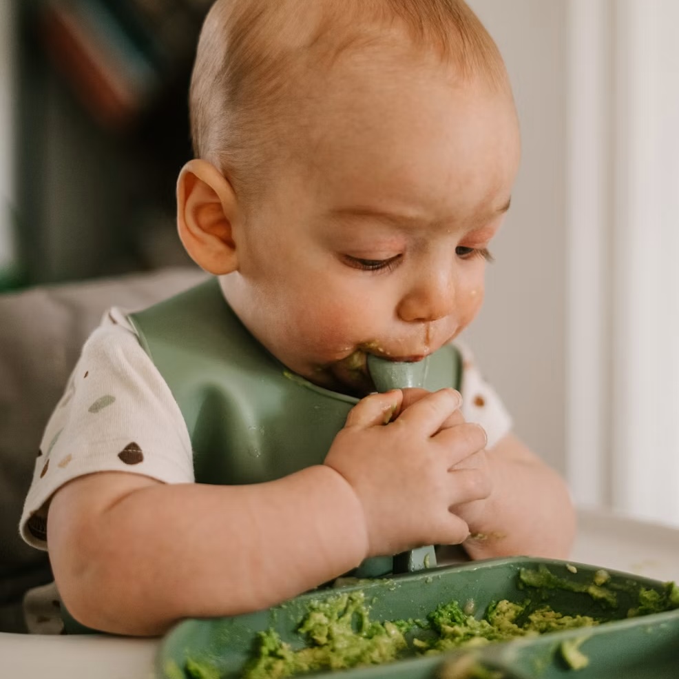 Bébé avec une cuillère dans la bouche qui regarde son assiette pleine d'avocat
