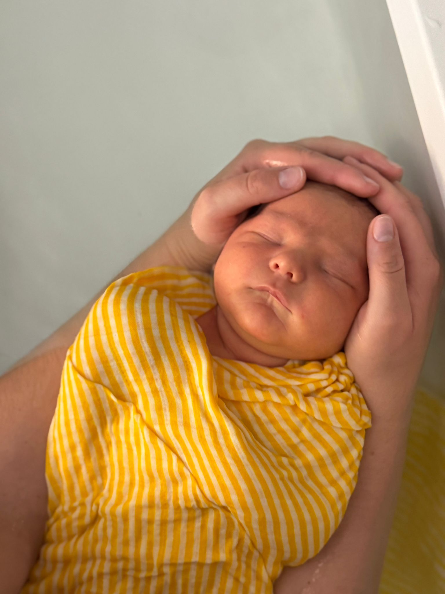 Un nouveau né emmailloté qui dort dans le bain, entouré par les mains d'un adulte